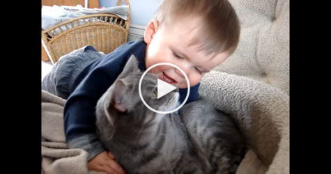 Baby Cuddling And Talking To His Best Friend a Gorgeous Kitty