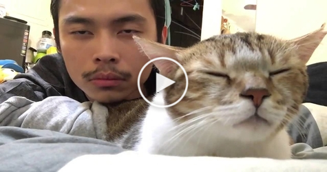 Cat And Her Human Bob Heads In a Rhythm Of A Song. Just Amazing !