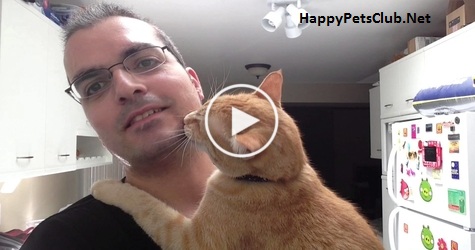 Cat Hugging His Human Is the Sweetest Thing You Will See This Day