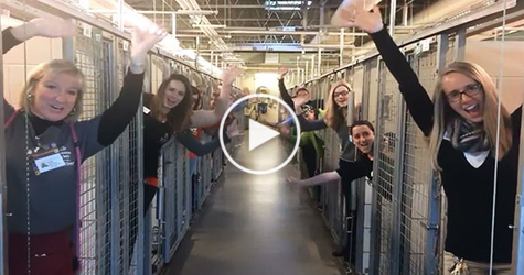 Shelter Celebrates Empty Shelter After All Cats And Dogs Were Adopted