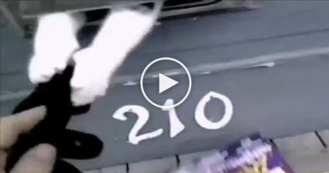Mailman Terrorized by Angry Kitty While Trying to Deliver Mail. HILARIOUS !