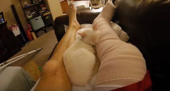 Rescued Cat Caring For His Owner Who Broke His Leg 