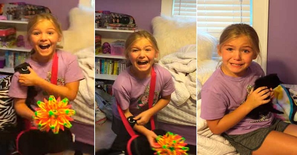 Girl Got The Cutest Surprise Ever. Her Reaction Is Heartwarming.