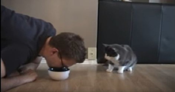 This Man Tries To Eat Cat Food, But Cat Pulls The Bowl Away From Him. Funny Video !