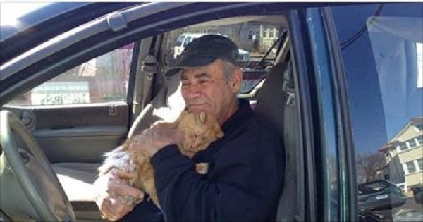 76-Year-Old Man Who Is Collecting Scrap Metal Is Feeding Stray Cats Everyday