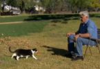 Jay Leno Proves Cats Are Smarter Than Dogs In This Hilarious Video!