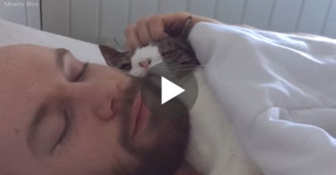 Guy Adopted This Strange-Looking Cat, But Watch Them Now Doing This Everyday !