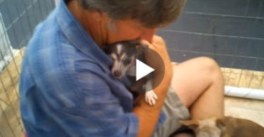 Abused Puppy Feels Love For The First Time After This Man Sat Down In Her Cage