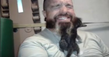 bearded guy rescued kitten