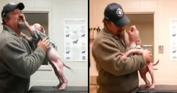 He Rescued This Puppy And Then Came Back To Adopt Him. Puppy`s Reaction Will Warm Your Heart !