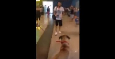 After 3 Years Being Separated Dog Stops For A Moment , Look At His Owner And Then...