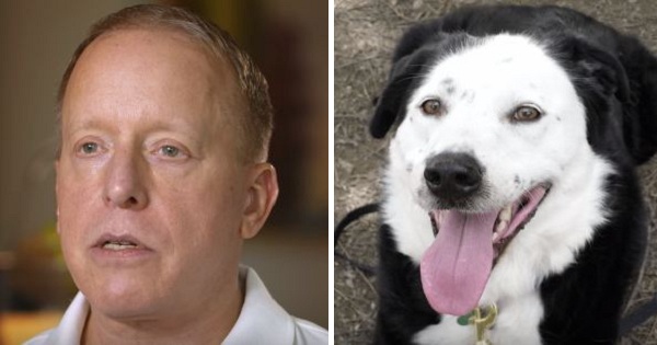 Doctors Told Him He Had Only 5 Years Left ... He Immediately Went To A Local Shelter And Adopted Senior Obese Dog...