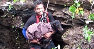 When This Dog Noticed That Rescuers Are Finally Here To Save Her, She Didn`t Stop Sobbing