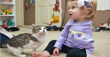 Girl With One Arm Adopts A 3-Legged-Kitten. They are meant for each other!