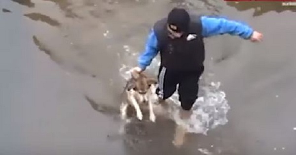 Drowning Dog Shows Pure Happiness After He Was Rescued!
