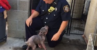 Rescued Puppy Went Crazy When He Saw The Firefighter Who Rescued His Life