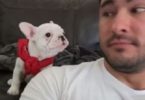 Daddy Gave This Puppy A Compliment, But Watch How The Pup Reacts. Hilarious!