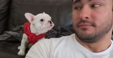 Daddy Gave This Puppy A Compliment, But Watch How The Pup Reacts. Hilarious!