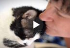 Nobody Wanted To Help This Paralyzed Stray Kitty, But Then This Woman Did Something Amazing..