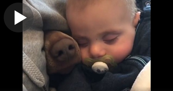Watch These Kids Growing Up With Their Best Friends - Dogs. This Is Pure Happiness