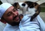 mosque cat