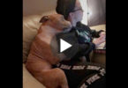 Rescued Dog From Shelter Can`t Stop Hugging His New Mommy ! This Is Touching !