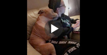 Rescued Dog From Shelter Can`t Stop Hugging His New Mommy ! This Is Touching !