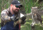 Owl Was Stuck In Fishing Line And Can`t Free Him Self... But, Everything Change When This Man Noticed Him