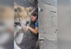Woman Heard Desperate Meowing Coming From Storm Drain. She Immediately Climbed Down And Rescued This Little Kitten...