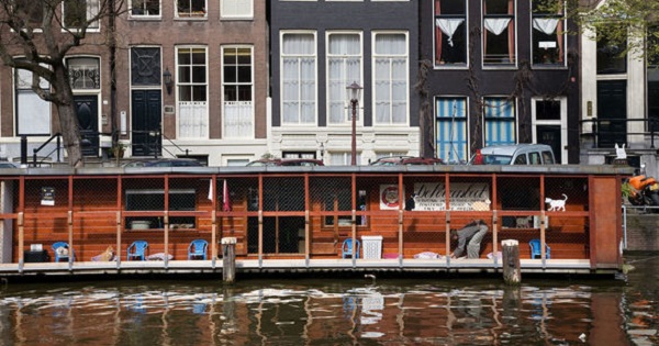 The Cat Boat In Amsterdam Is Special Floating Private Place Only For Abandoned Cats !