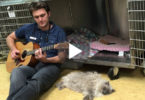 Vet Sings To This Cat To Calm Her Down Before Surgery ! WoW ! This Is Wonderful !
