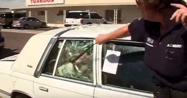 7 Dogs Trapped In Hot Car, Rescued By Police Officer Who Had To Smash The Window
