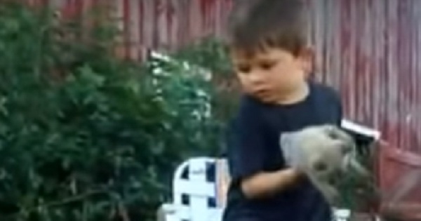 Little Kid Deals With a Complicated Cat "Situation"