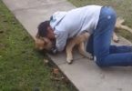 Dog Missing For 3 Months Finally Reunited With His Boy