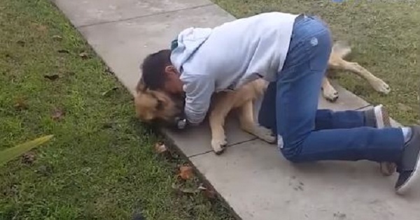 Dog Missing For 3 Months Finally Reunited With His Boy