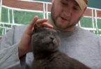 Cat Lost For 4 Years and 2000 Miles is Finally Reunited With Ex Marine
