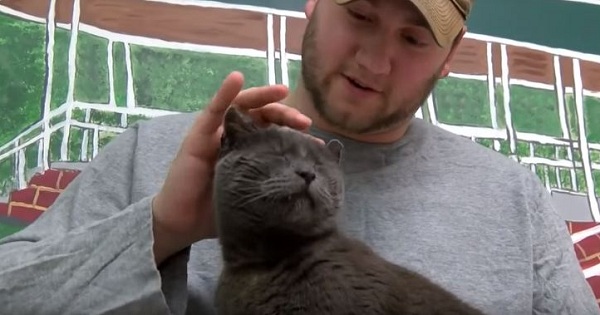 Cat Lost For 4 Years and 2000 Miles is Finally Reunited With Ex Marine