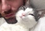 Every Morning This Kitty Is Cuddling With His Owner