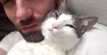 Every Morning This Kitty Is Cuddling With His Owner