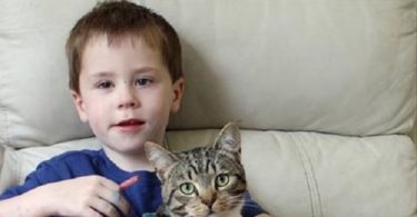 Hero Kitty Protects Young Kid From Bullies