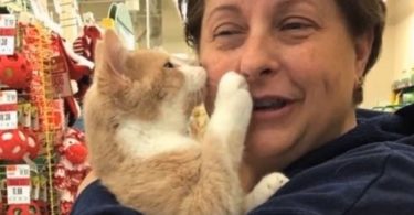 Rescue Kitty Can`t Stop Hugging His New Mommy After Being Adopted