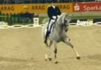 This Horse Begins Trotting, But When They Change The Music Everyone Was Left Speechless