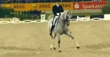 This Horse Begins Trotting, But When They Change The Music Everyone Was Left Speechless