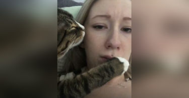 Cat Cuddled Next To Her Human And Kisses Her 2