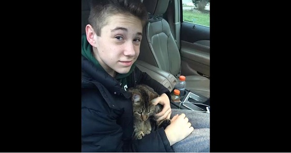 Teenage Boy Rescued A Cat Thrown Out of Speeding Van. Now, The Kitty Won't Stop Cuddling Him