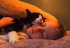 They Rescued 20-Year-Old Kitty From The Local Shelter, And He Had So Much Love Left To Give