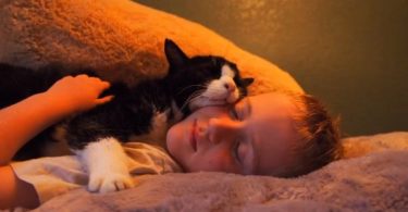 They Rescued 20-Year-Old Kitty From The Local Shelter, And He Had So Much Love Left To Give