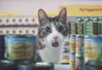 This Is The Funniest And Very Crazy Cat Commercial!