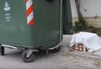 Woman Found A Strange Box Next To Garbage Can, But When She Came Closer, She Noticed The Kittens...