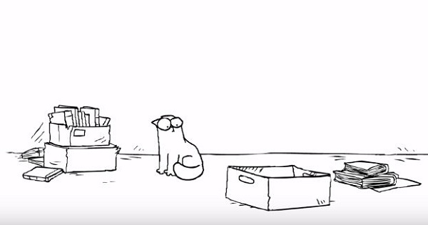 A curious cat investigates an empty cardboard box - Simon's Cat